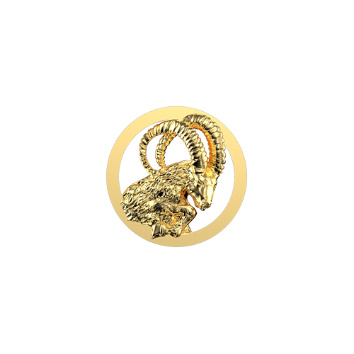 Teeth Jewelry Tooth gems
