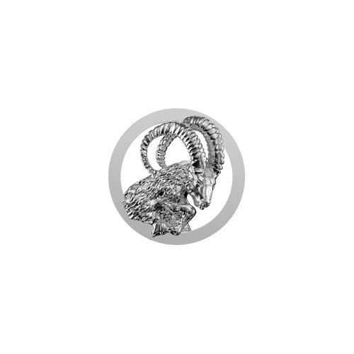 Teeth Jewelry Tooth gems