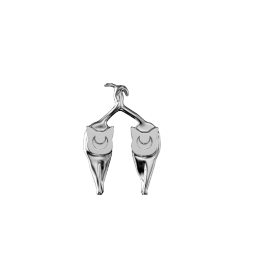 Teeth Jewelry Tooth gems