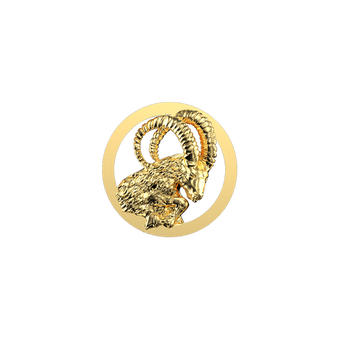 Oro amarillo