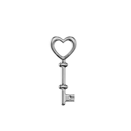 Bijoux dentaire Isis&gold Or blanc / White gold Heartkey 2 tooth gems