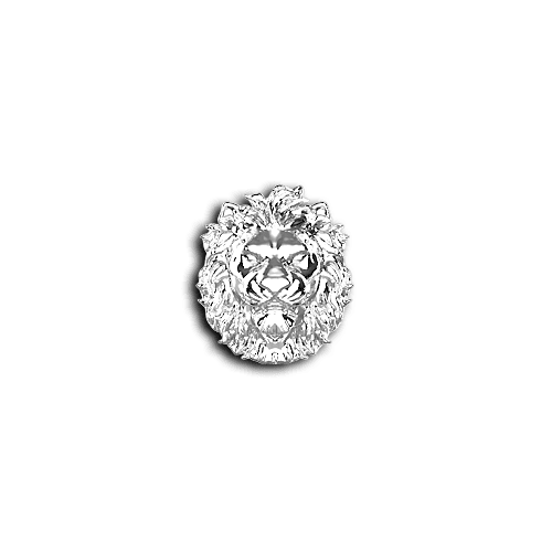 Teeth Jewelry Tooth gems