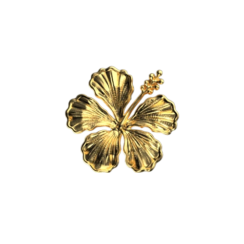 Bijoux dentaire or