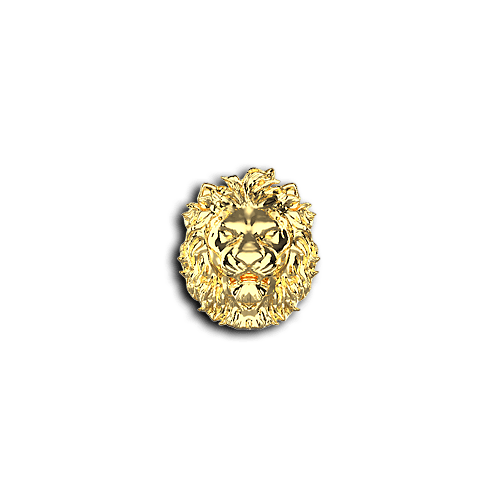 Bijoux dentaire Isis&gold Or jaune / Yellow gold Lion head animals tooth gems