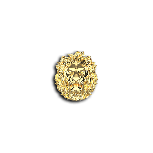 Teeth Jewelry Tooth gems