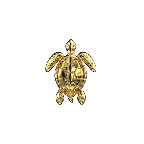 Bijoux dentaire or