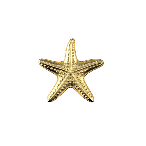 Bijoux dentaire or