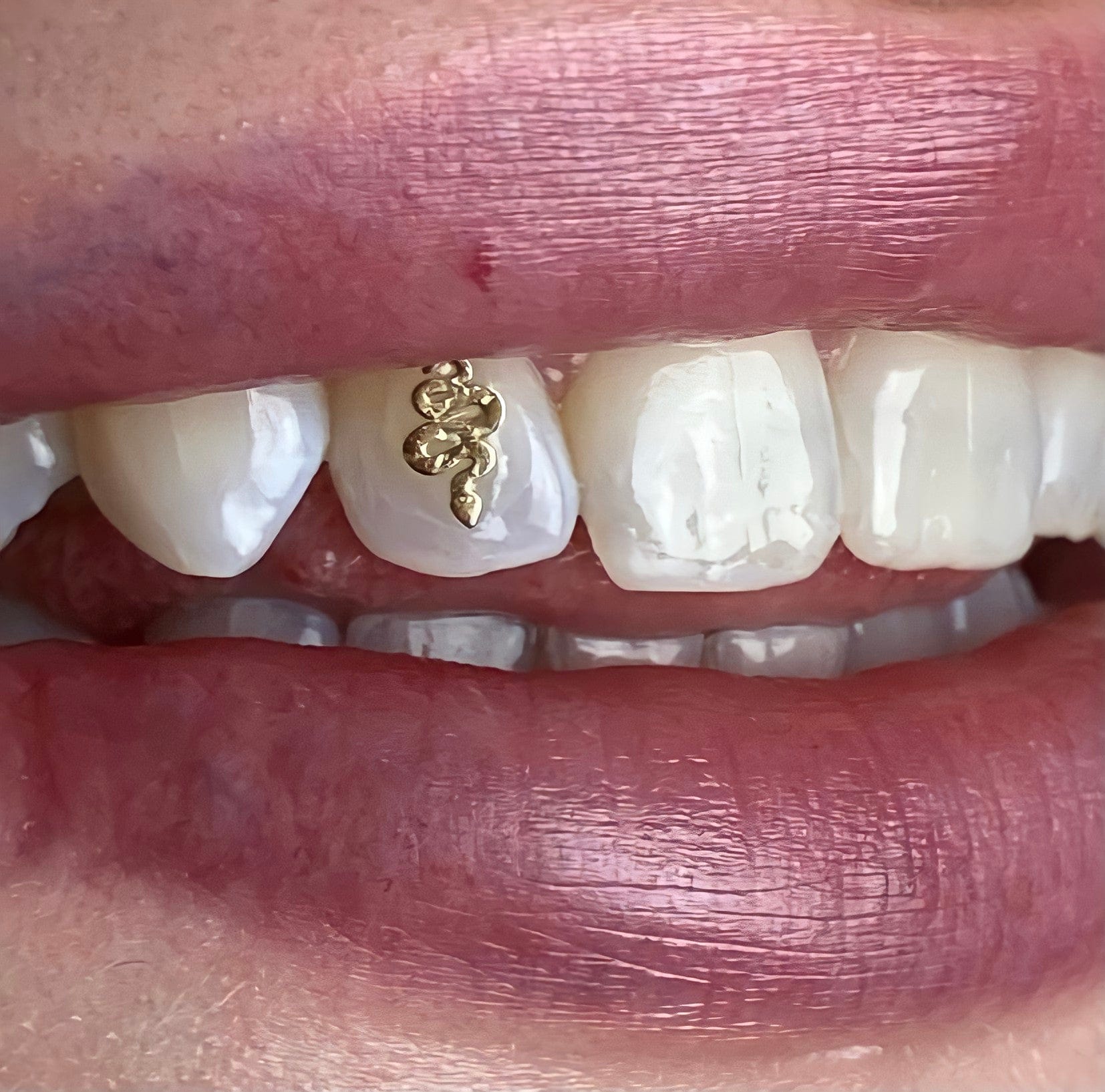 Bijoux dentaire Isis&gold Snake animals tooth gems
